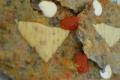 Mini-pizze z patelni